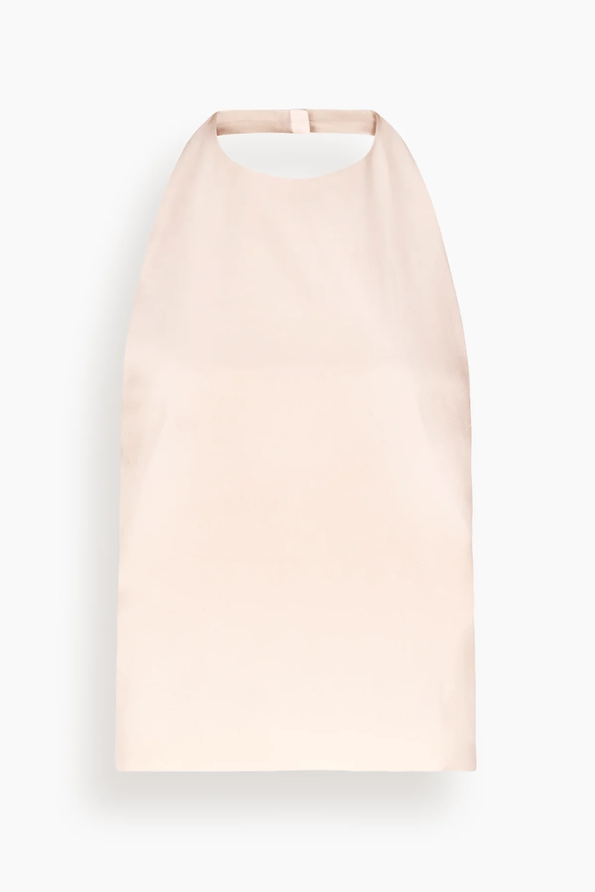 Sami Backless Halter Top in Cream Rose
